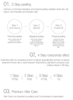 DESEMBRE Holistic Crystaling Peel Set (4 Treatments) - image 2